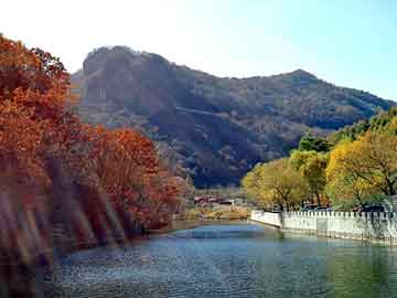 新澳天天开奖资料大全旅游团，硅胶管价格